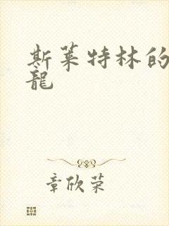 斯莱特林的铂金龙