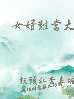 女婿难当大结局