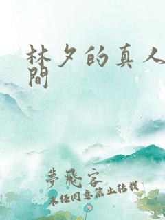 林夕的真人娃娃间