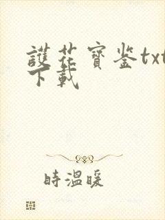 护花宝鉴txt下载