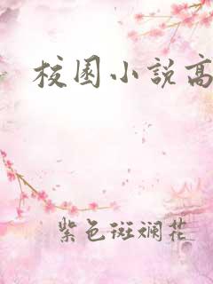 校园小说高h