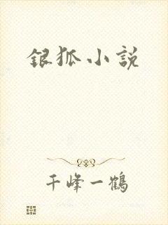 银狐小说