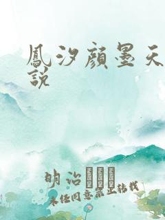 凤汐颜墨天问小说