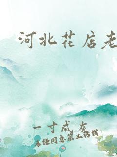 河北花店老板娘