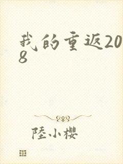 我的重返2008