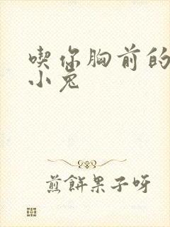 吃你胸前的两只小兔