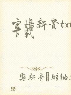 官场新贵txt下载