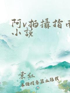 阿v拍摄指南说小说