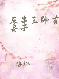 反串王帅有几任妻子