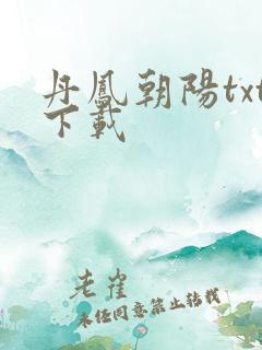 丹凤朝阳txt下载