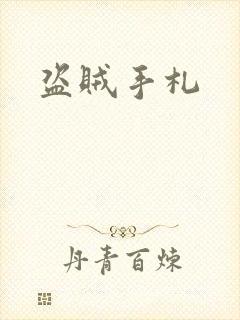 盗贼手札