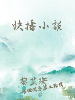 快播小说