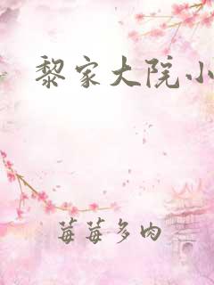 黎家大院小说