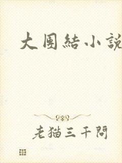 大团结小说下载