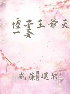 傻子王爷天下第一妾