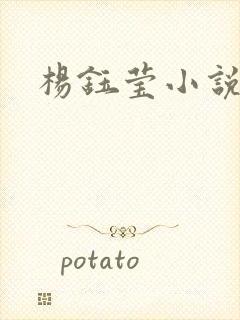 杨钰莹小说阅读