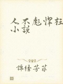 人不彪悍枉少年小说