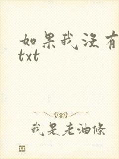 如果我没有爱过txt