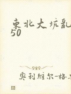 东北大坑乱1—50