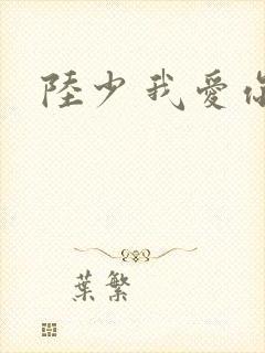 陆少 我爱你