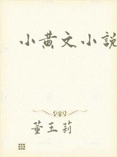 小黄文小说