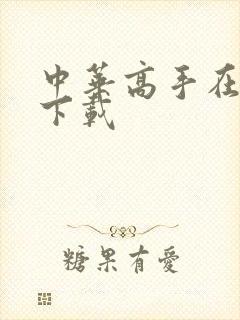 中华高手在异世下载