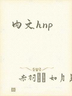 肉文hnp