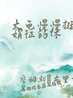 大龟慢慢挺进张娟征的休