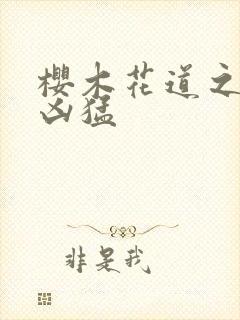 樱木花道之重生凶猛