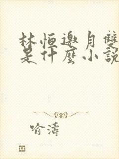 林恒邀月双胞胎是什么小说