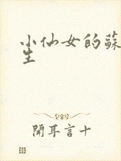 小仙女的苏撩先生