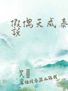 假偶天成泰剧小说