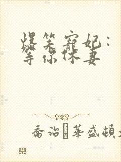 爆笑宠妃：爷我等你休妻