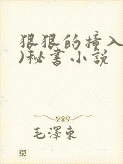 狠狠的撞入(h)秘书小说