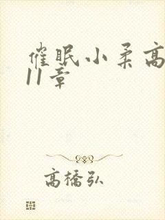 催眠小柔高达第11章