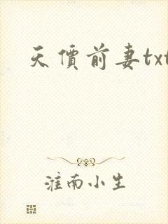 天价前妻txt