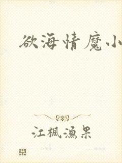 欲海情魔小说