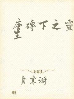 唐砖下之灵域双生