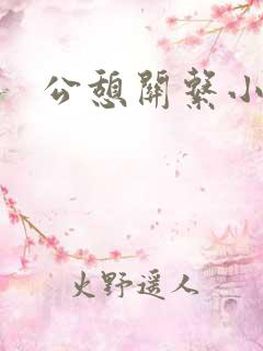 公憩关系小说