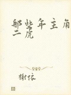 那些年主角是贾二虎