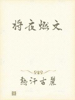 将夜燃文