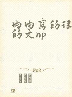 肉肉写的很细致的文np