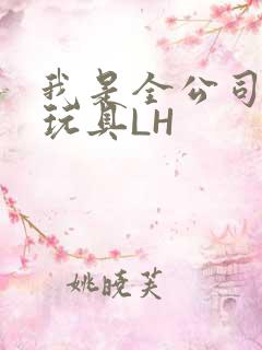 我是全公司发泄玩具LH