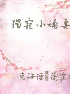 独宠小娇妻