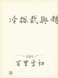 冷总裁与赵大牌