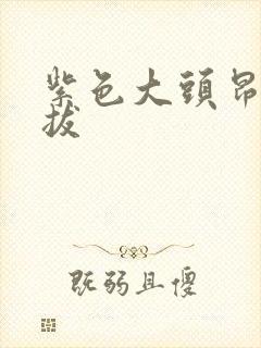 紫色大头昂扬挺拔