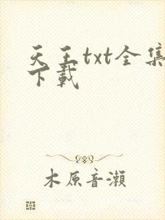 天王txt全集下载