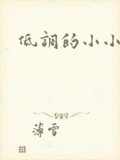 低调的小小宫女