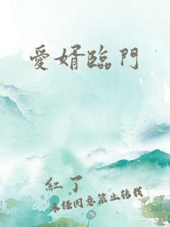 爱婿临门