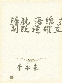 膀胱 海绵 控制改造确立m